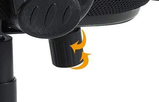 newtrans-back_1b.jpg newtrans-back_1b.jpg