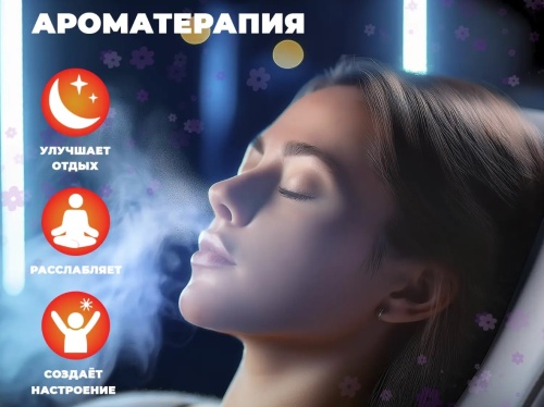 Массажное кресло FUJIMO EXCELSIOR Коричневый